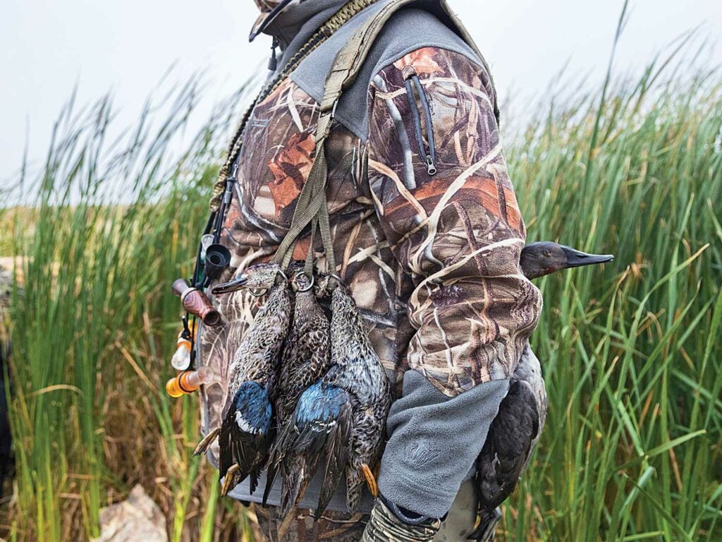 waterfowl hunter with limit of teal