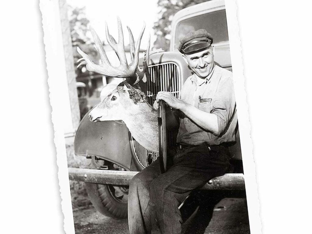 the Roosevelt Luckey deer