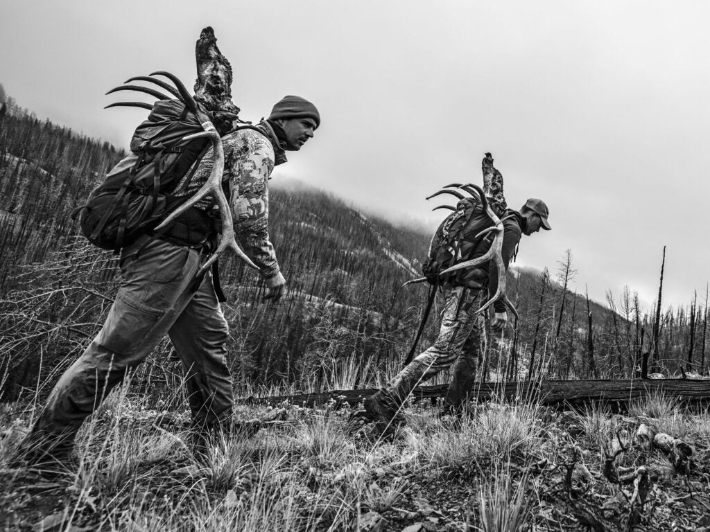Successful public-land hunters begin a long hike out.