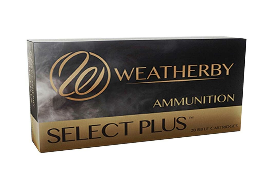 .340 Weatherby Magnum loaded with 250-grain Partitions.