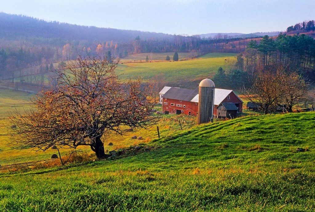 apple farm field and barn