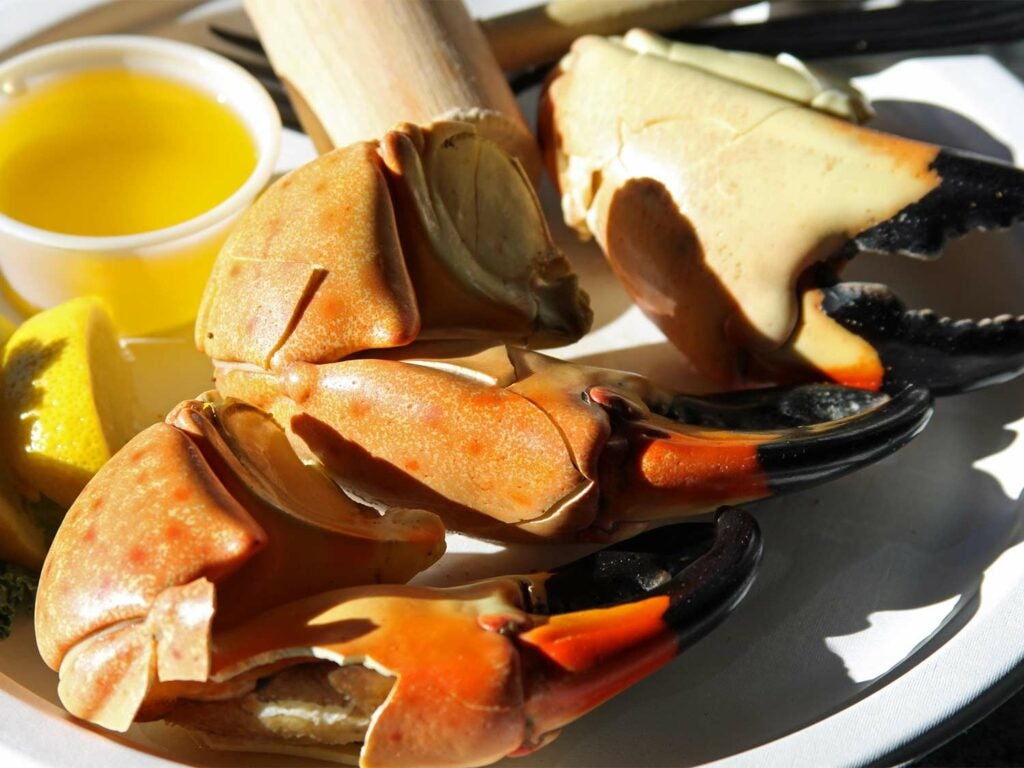 Cooked and cracked stone crab claws