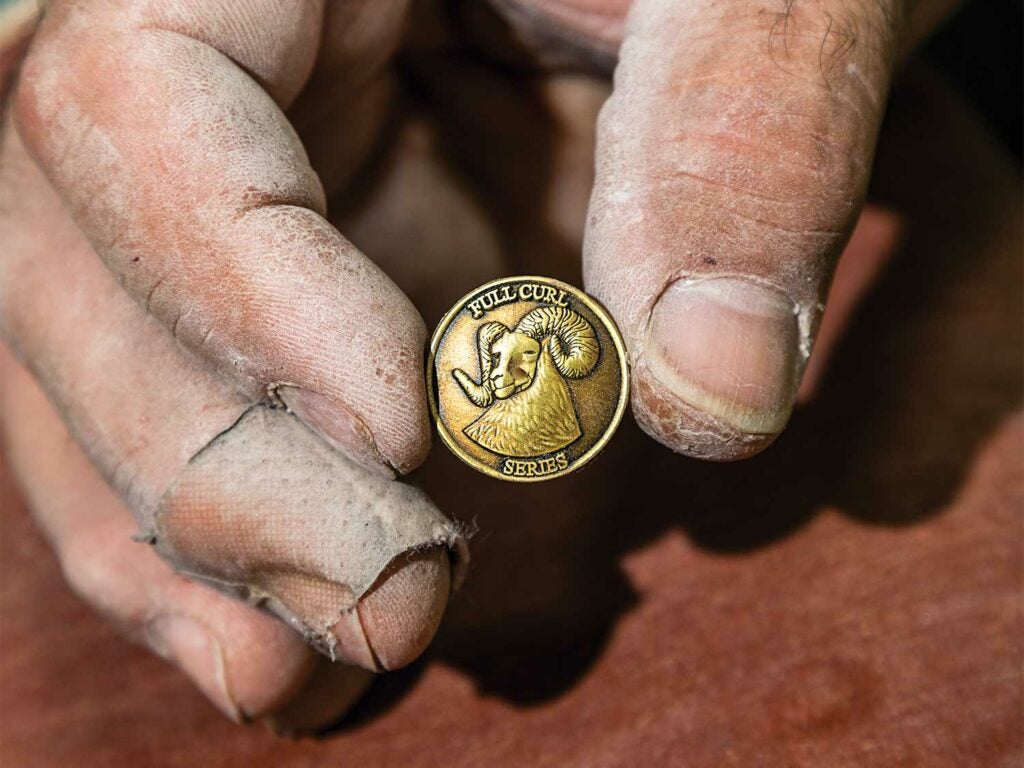 a coin featuring a bighorn ram
