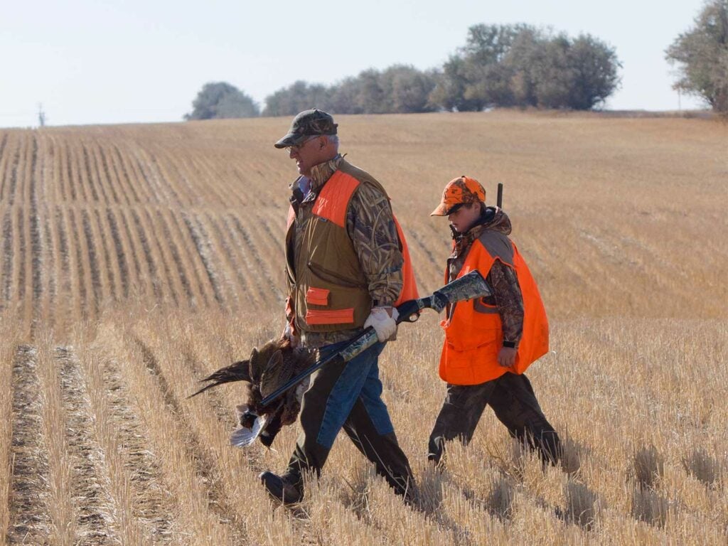 a father and son hunting pheasants in a field