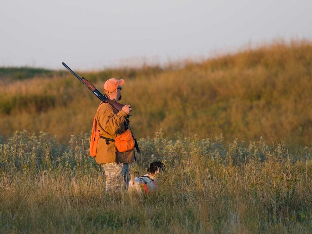 Hunter and a dog in a pheasant field.