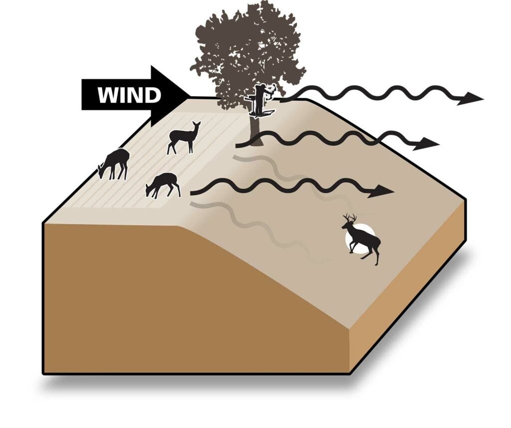 Illustration of a steeped hill and wind direction
