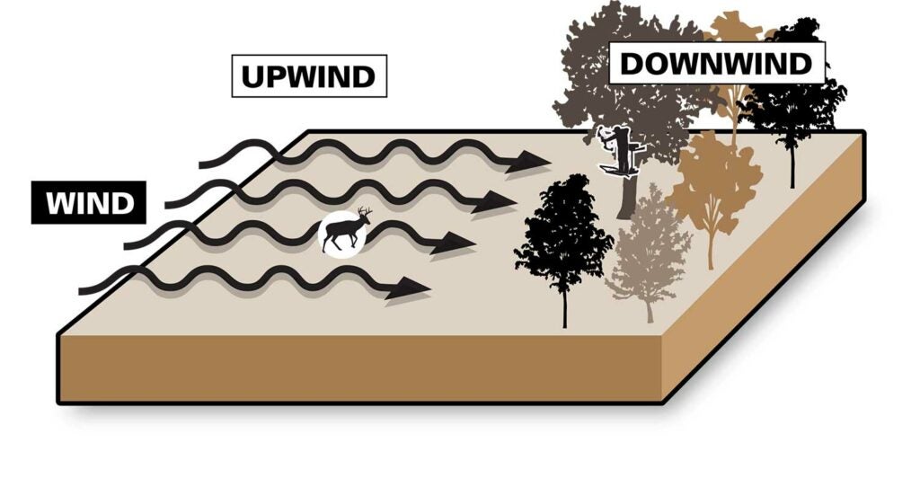 illustration of upwind and downwind weather patterns