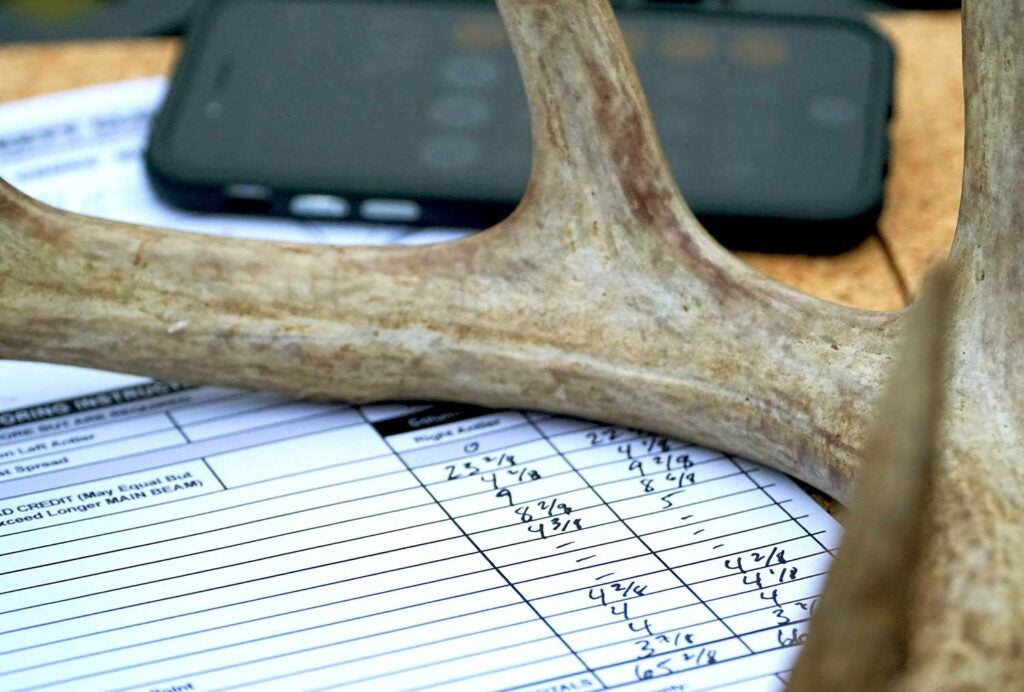 a deer antler on a measuring score sheet