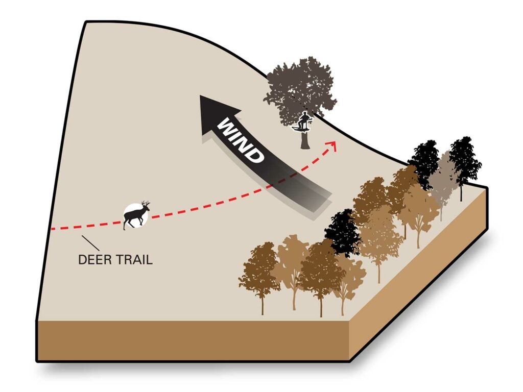 illustration of winds and deer hunting