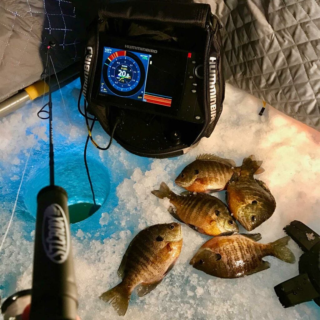 fishing rods used for ice fishing.