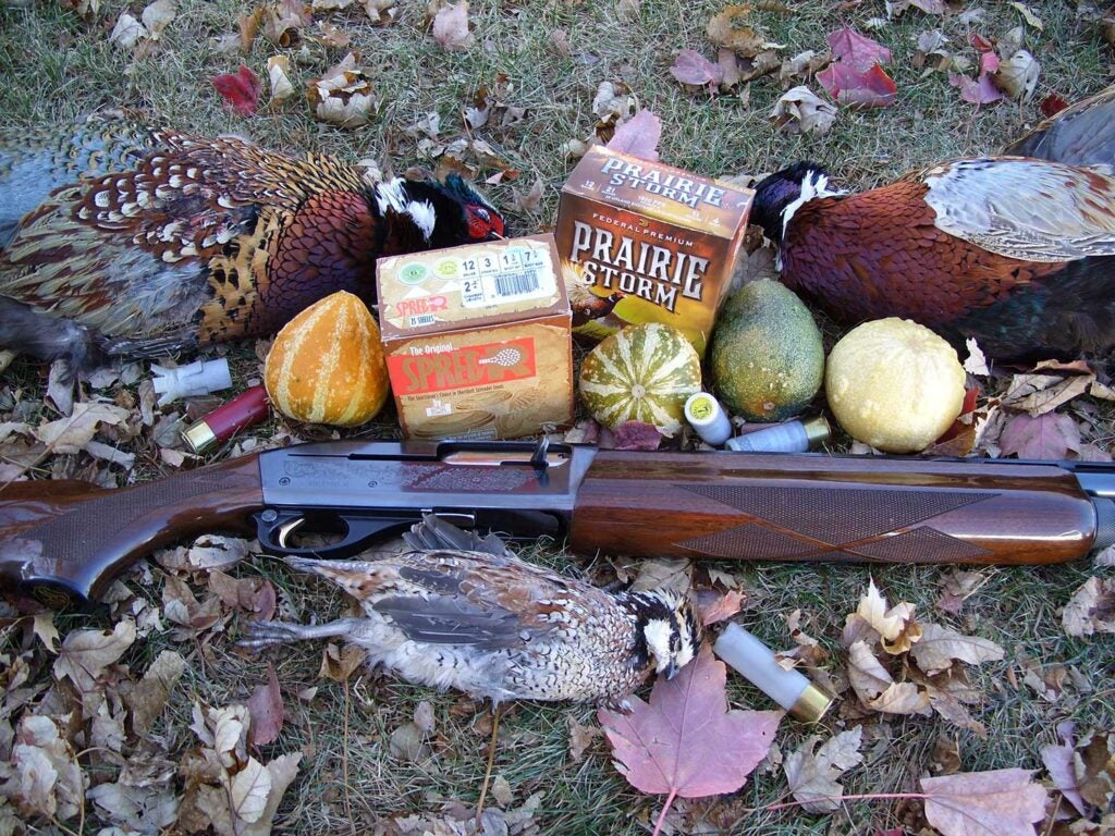 pheasant and quail hunting ammo.