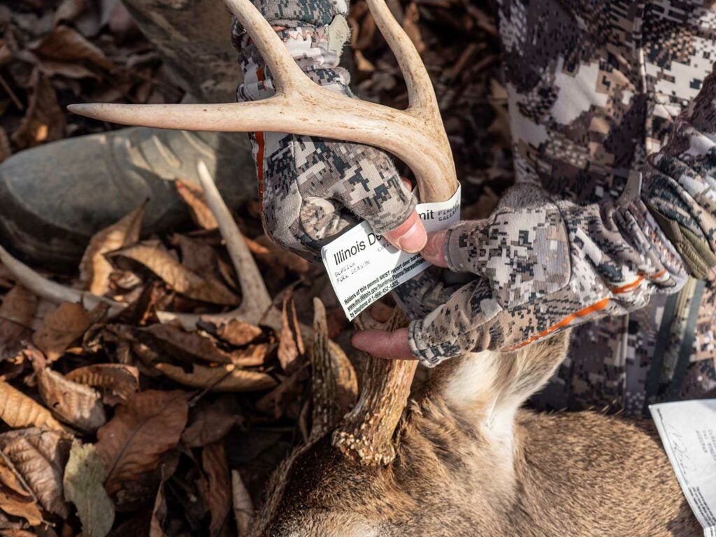 Derrick wraps his tag on a last-minute 8-pointer.