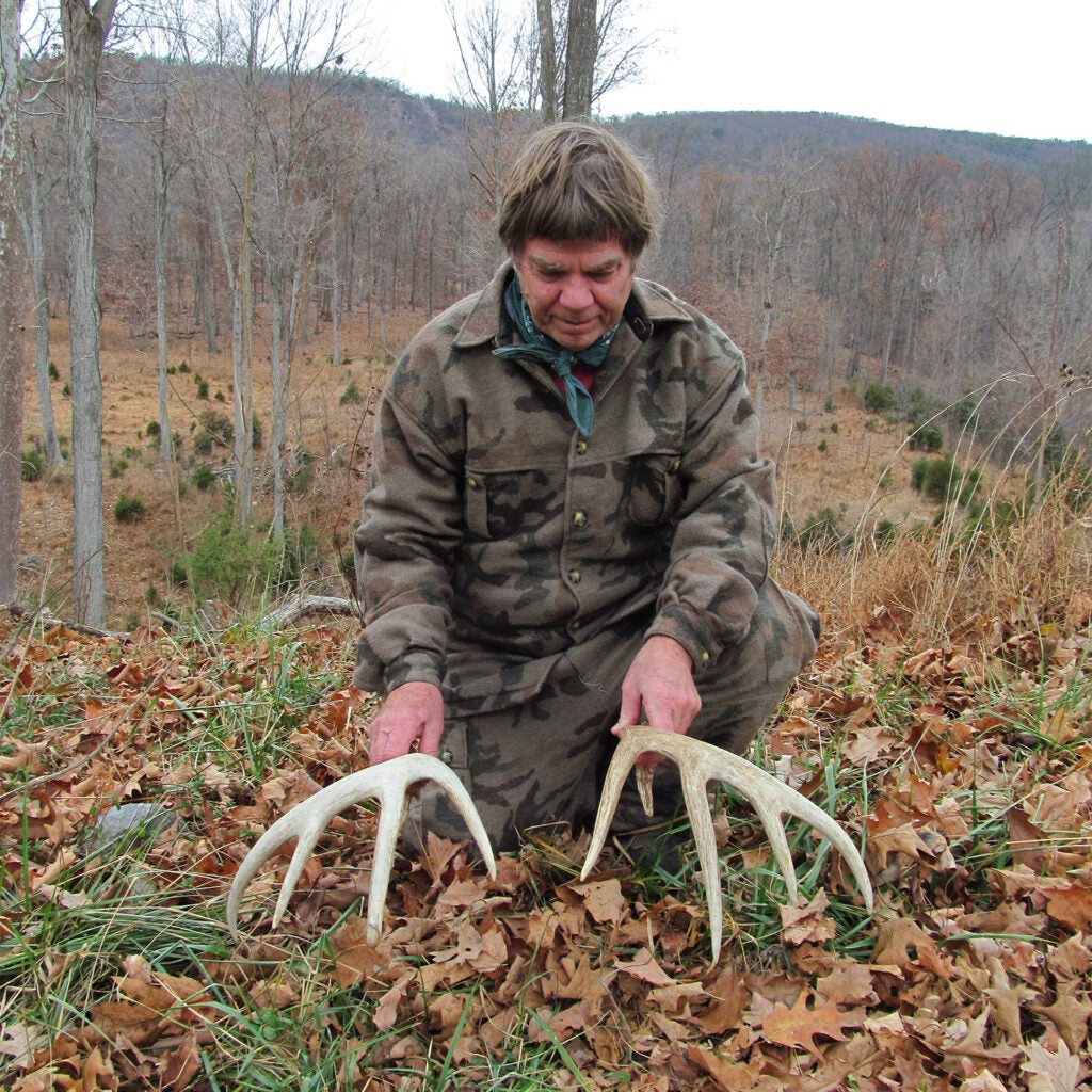 Man holding two shed antlers