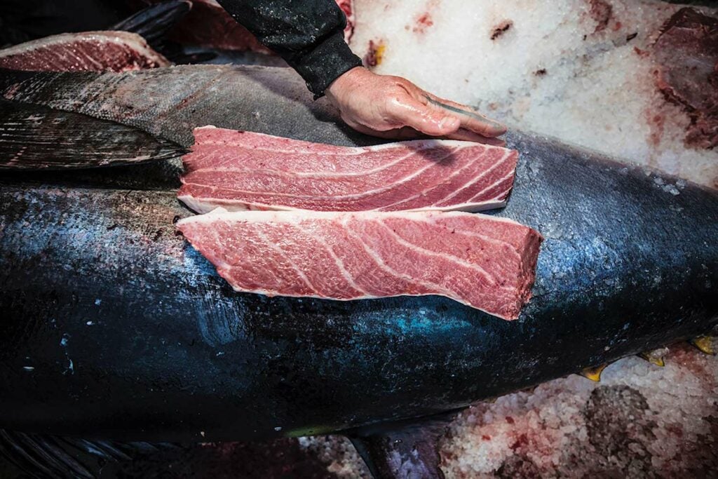Large slabs of bluefin tuna steak.