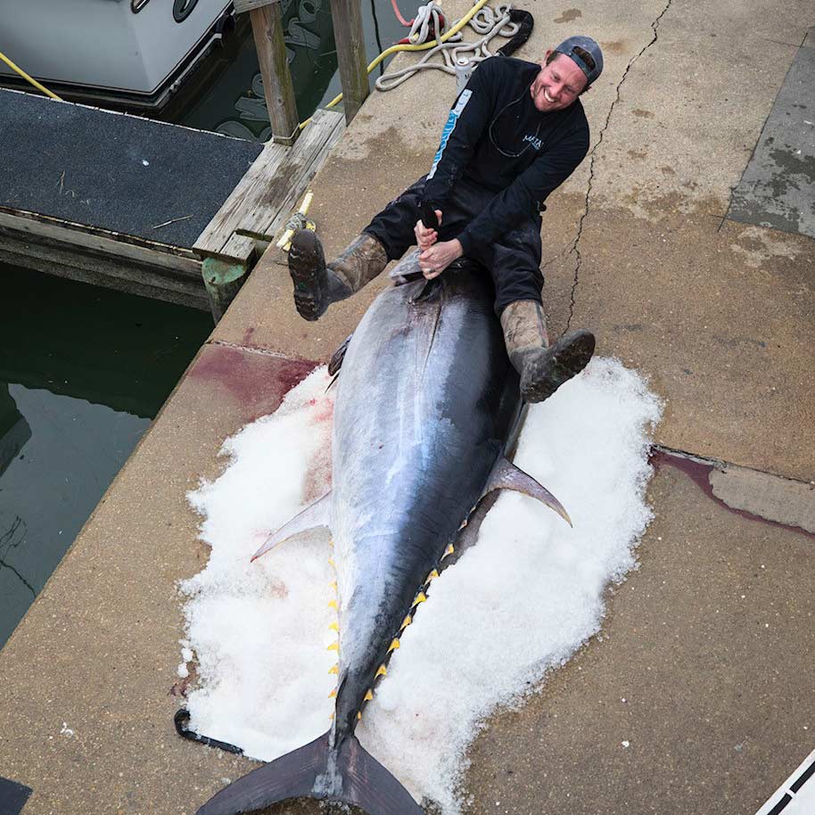 Man next to a bluefin tuna.