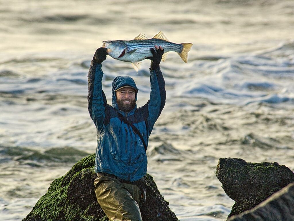 Angler holding up a large striped bass.