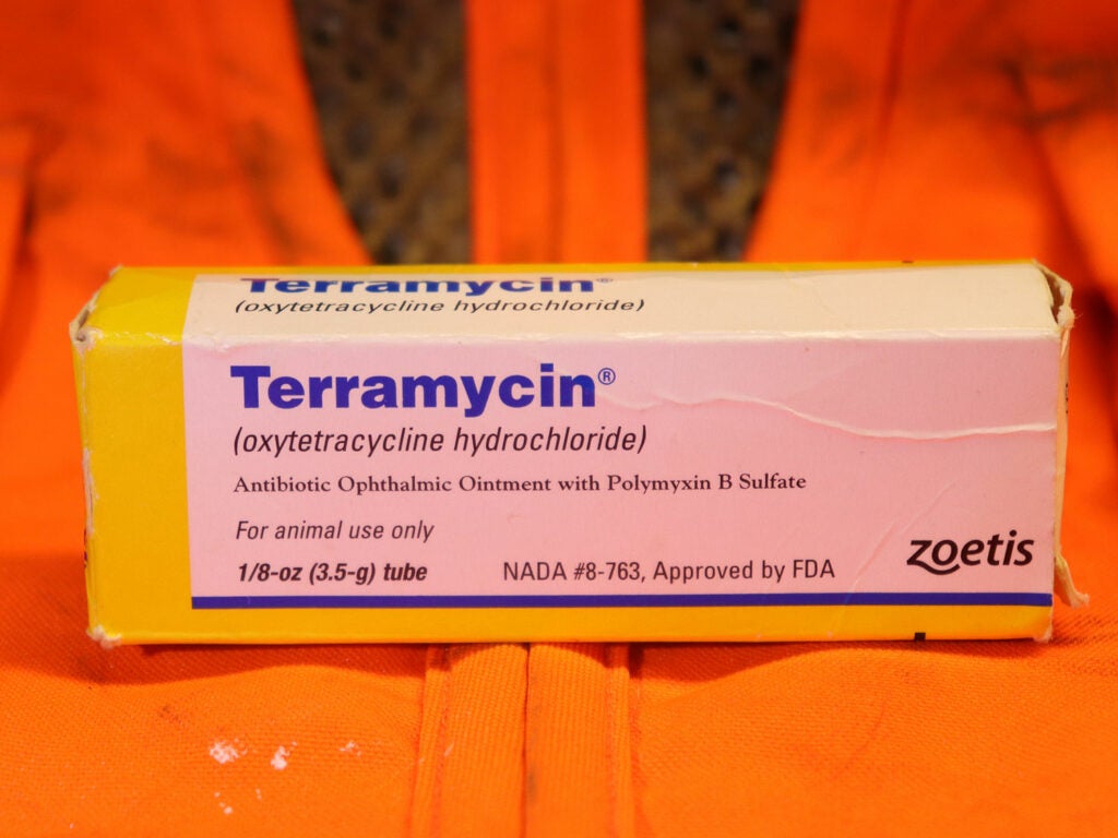 Terramycin eye ointment.
