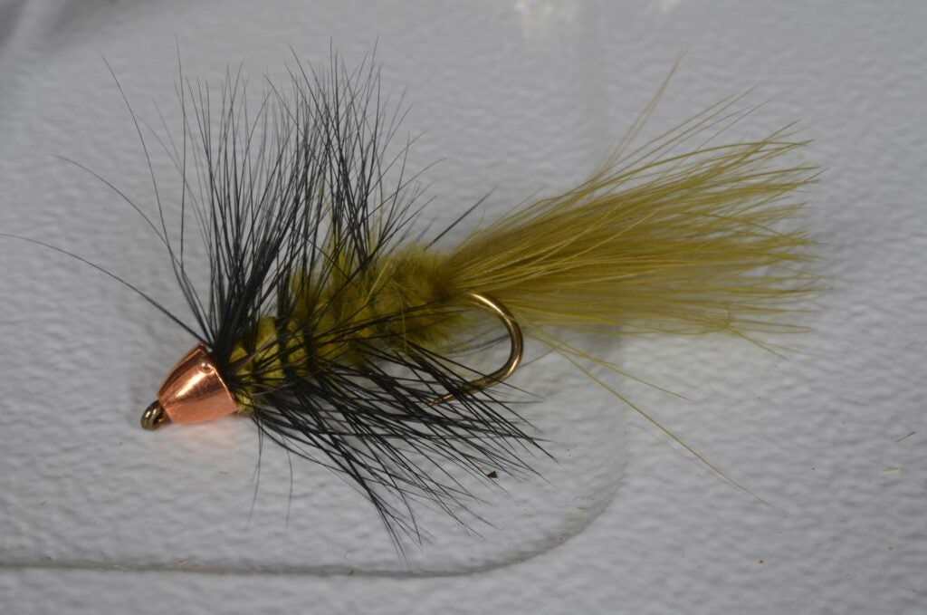Woolly Bugger fly lure.