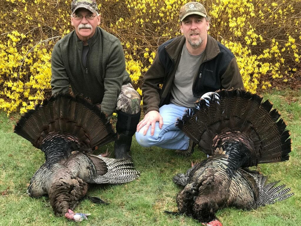 Two hunters with large turkeys