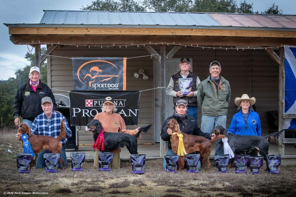 Texas hunting dog field trial winners.