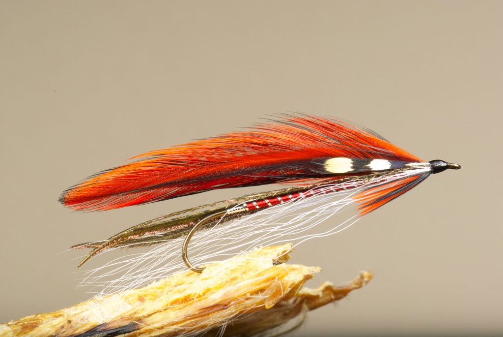 Allie’s Favorite fly fishing lure.