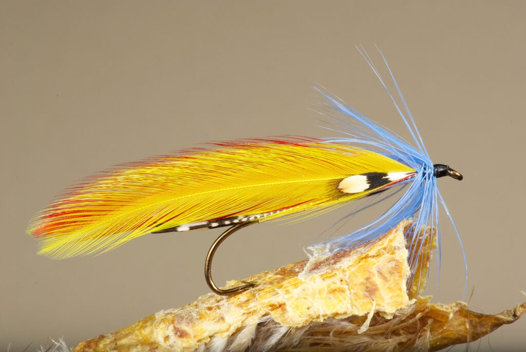 Cains River Roaring Rapids fly fishing lure.