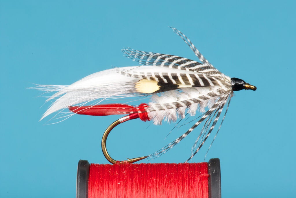 The Bumblepuppy fly fishing lure.