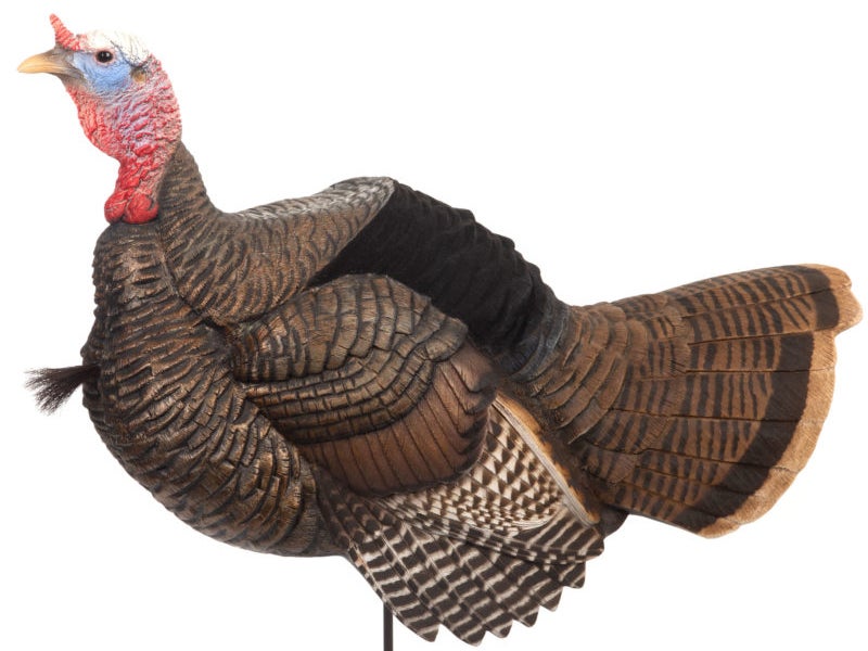 photo for bow hunting turkey tip: use the right decoy 