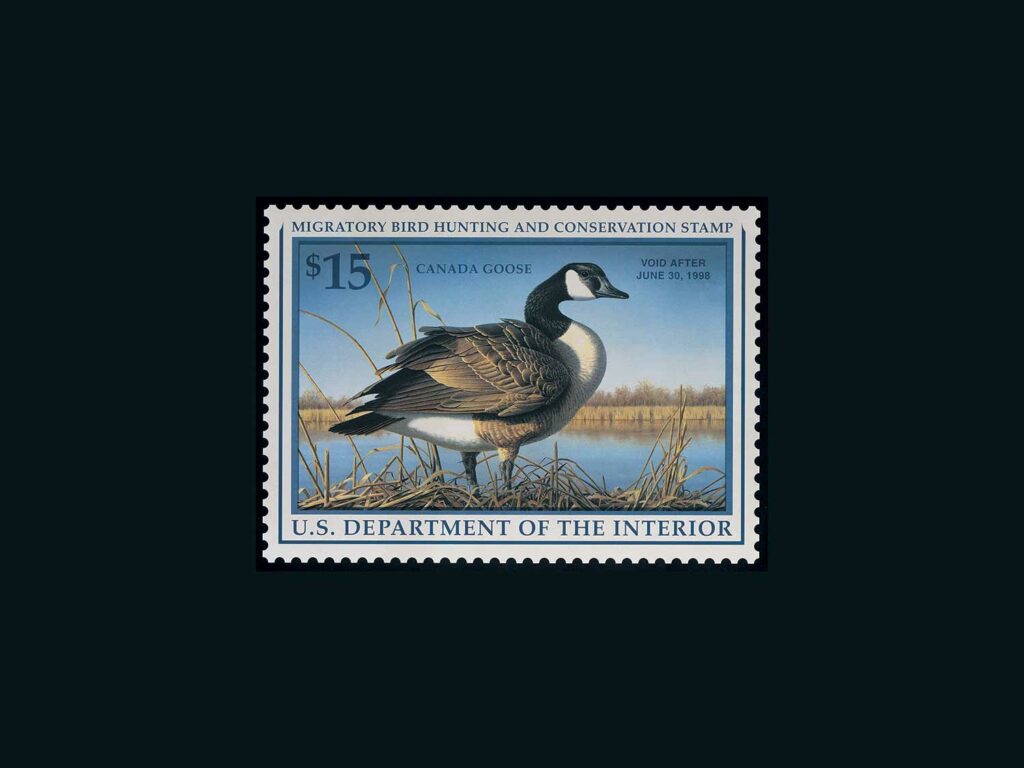 Canada Goose by Robert Hautman – 1997-1998 on a black background.