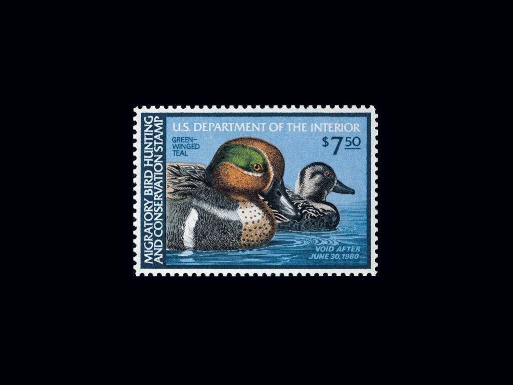 Green-Winged Teal by Ken Michaelson – 1979-1980 on a black background.