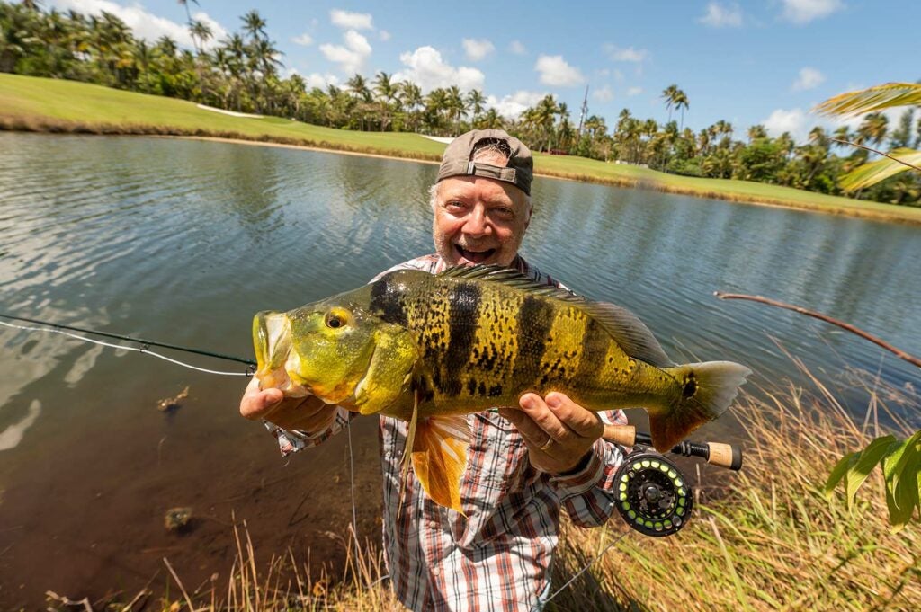 An angler holding up a large peacock bass.