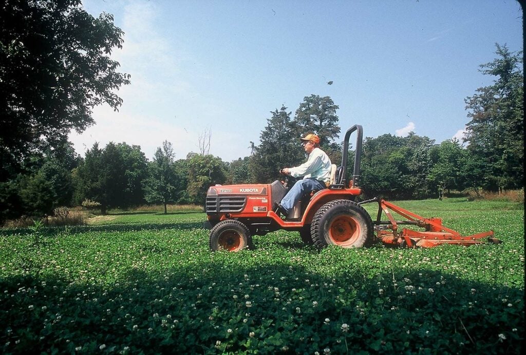 A man on a tractor mows a field of white clovers.