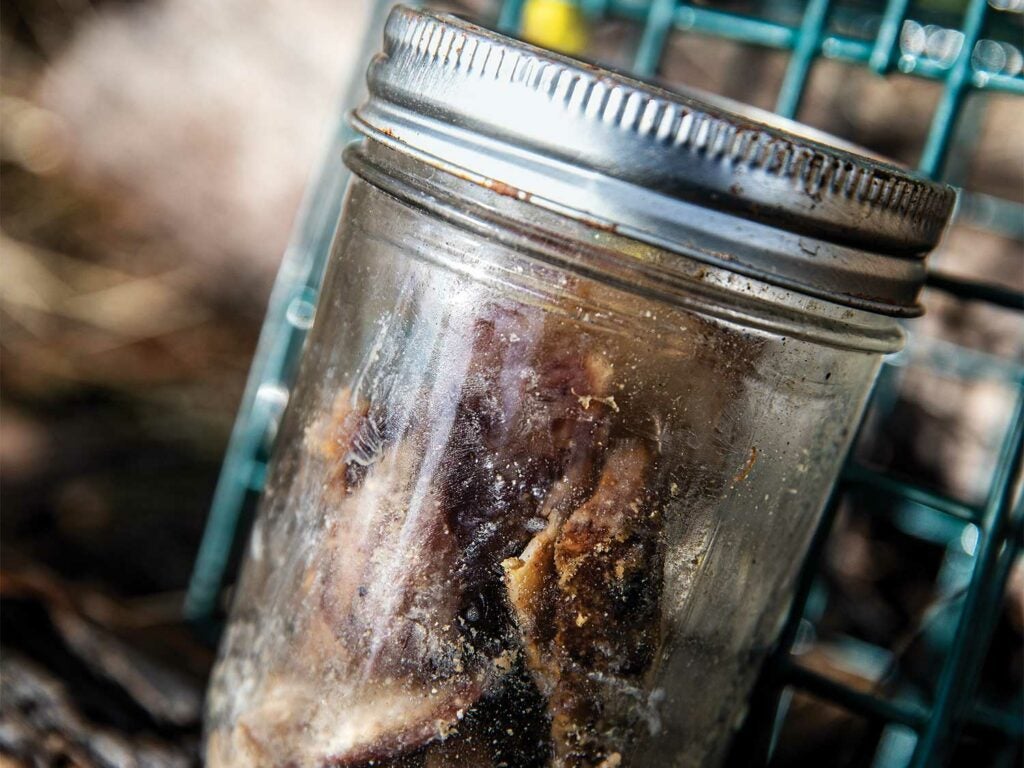 A jar of cadaver used to train search and rescue dogs.