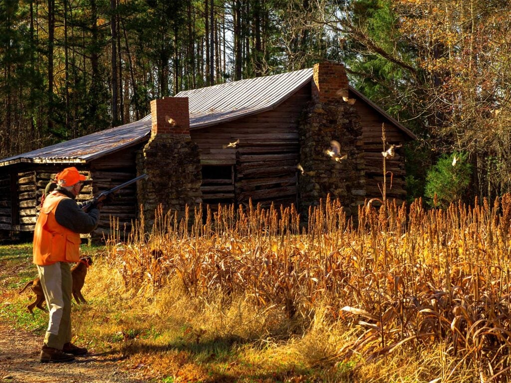 A hunter aiming a rifle beside a field and cabin.