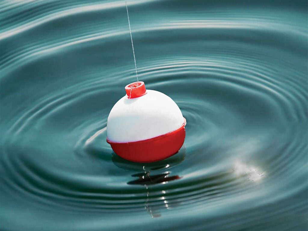 A red and white fishing bobber in the water.