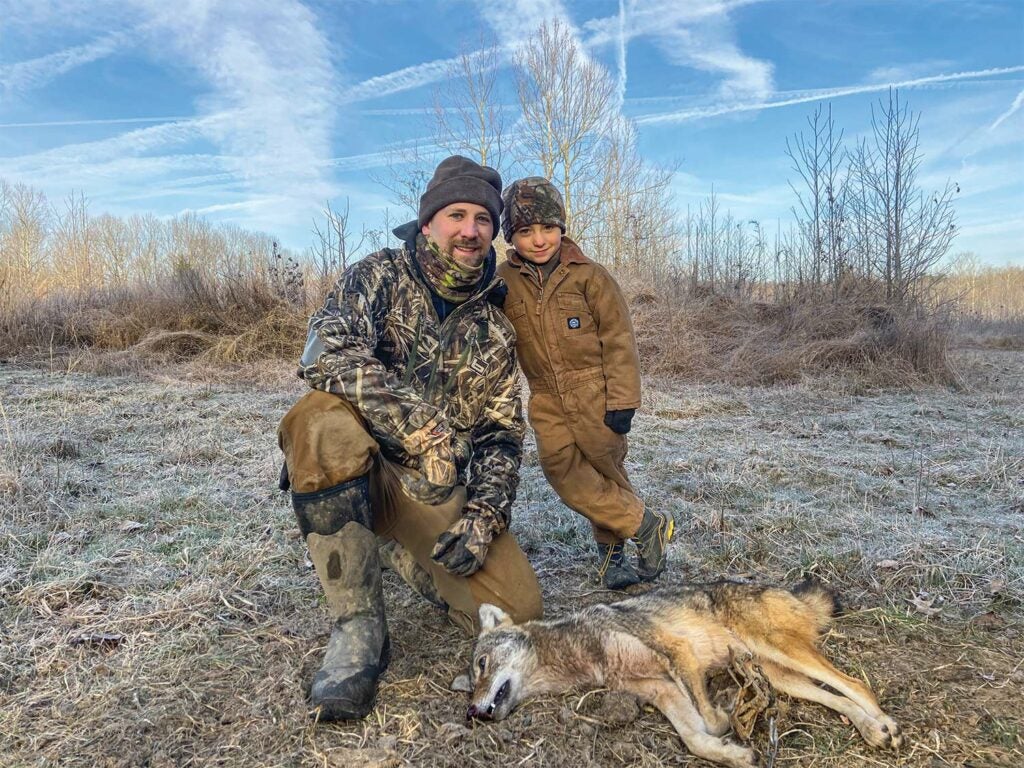 A hunter and his son trapping coyotes.
