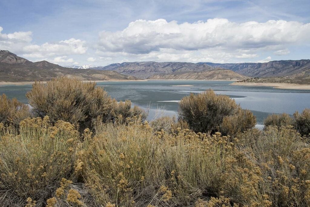 The Blue Mesa Reservoir wilderness and lake