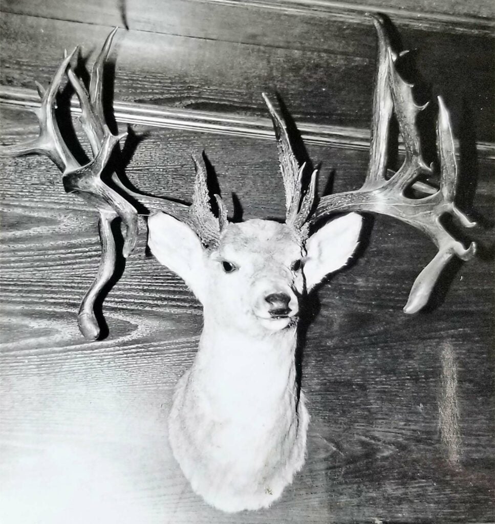 a black and white photo of a world-record non-typical whitetail.