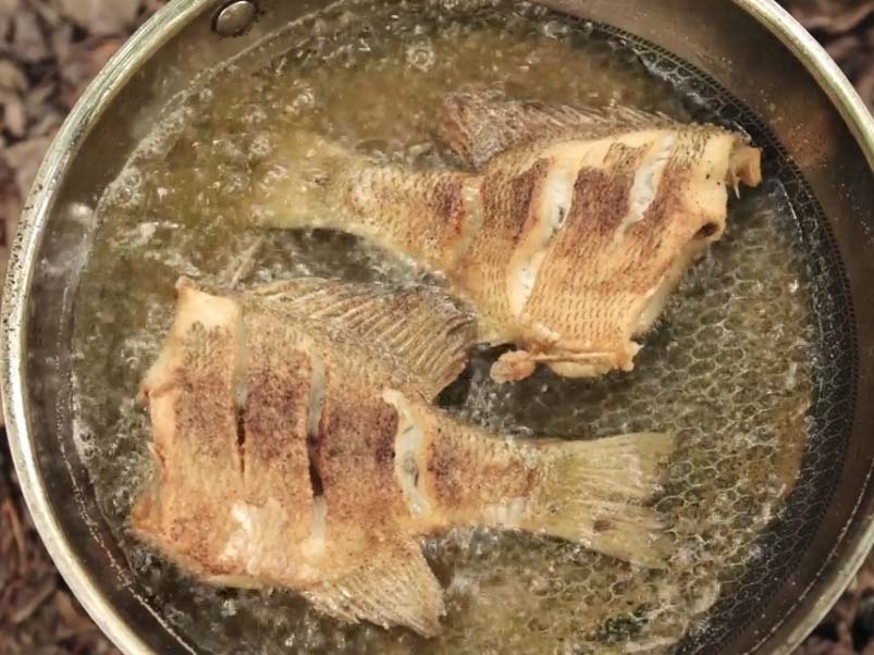 Panfish frying in a skillet over a campfire.