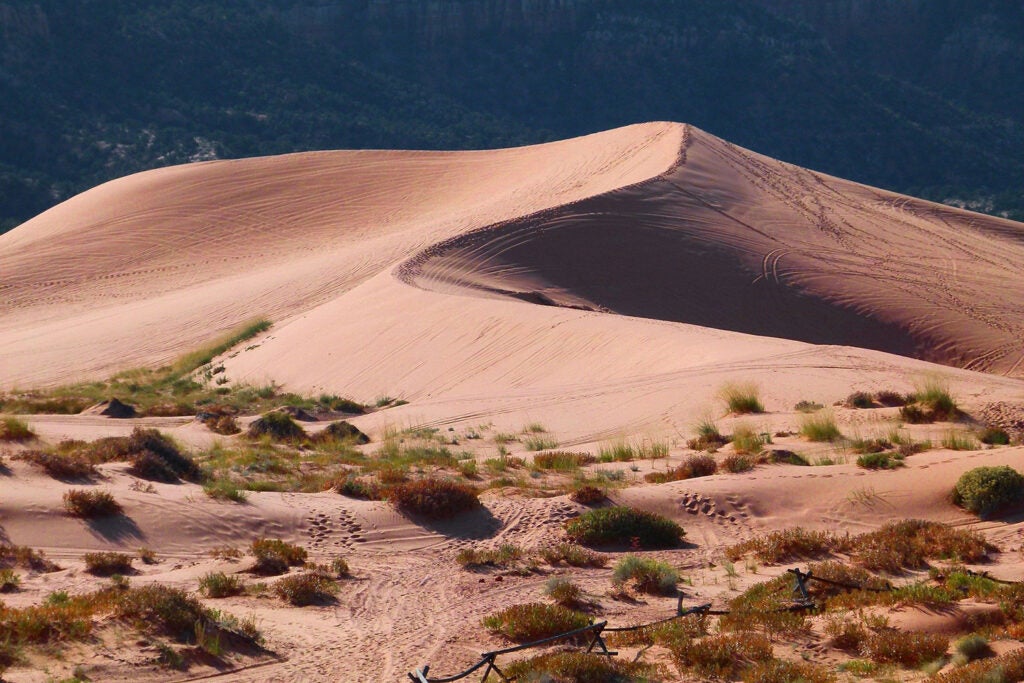 A sand hill in the desert.