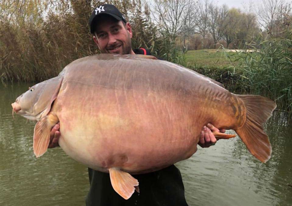 An angler holding up a one of the largest freshwater fish: a giant carp