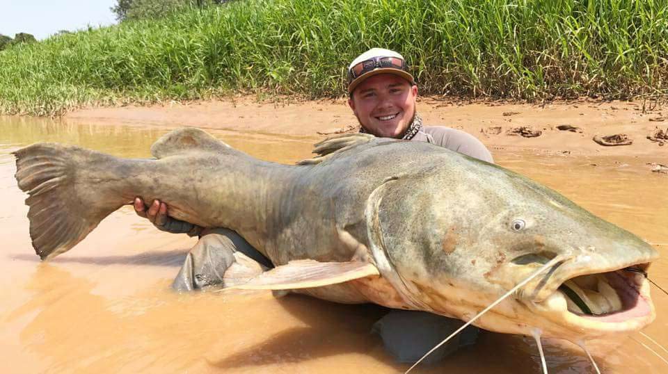 An angler posing with a large 170-pound Jau.