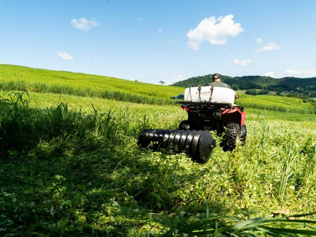 A hunter rides a ATV through a field with a cultipacker and herbicide sprayer.