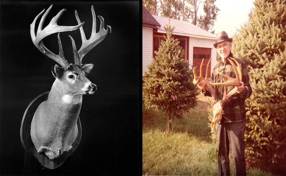 A side-by-side image. On the left: A black and white image of a trophy whitetail deer mount. Right: an image of a man holding up a trophy whitetail deer antler set.