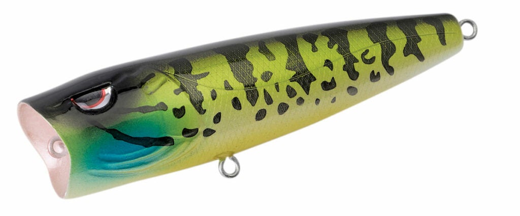 a striped black and green lure.