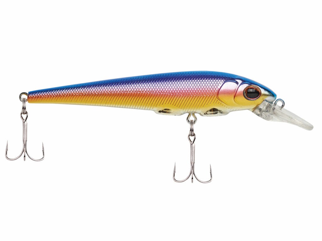 A rainbow silver fishing lure.