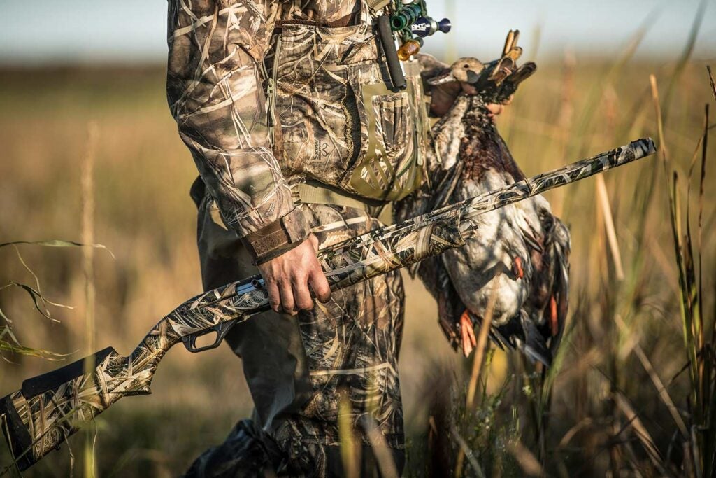 A hunter holding a shotgun and a limit of ducks walks through a marsh.