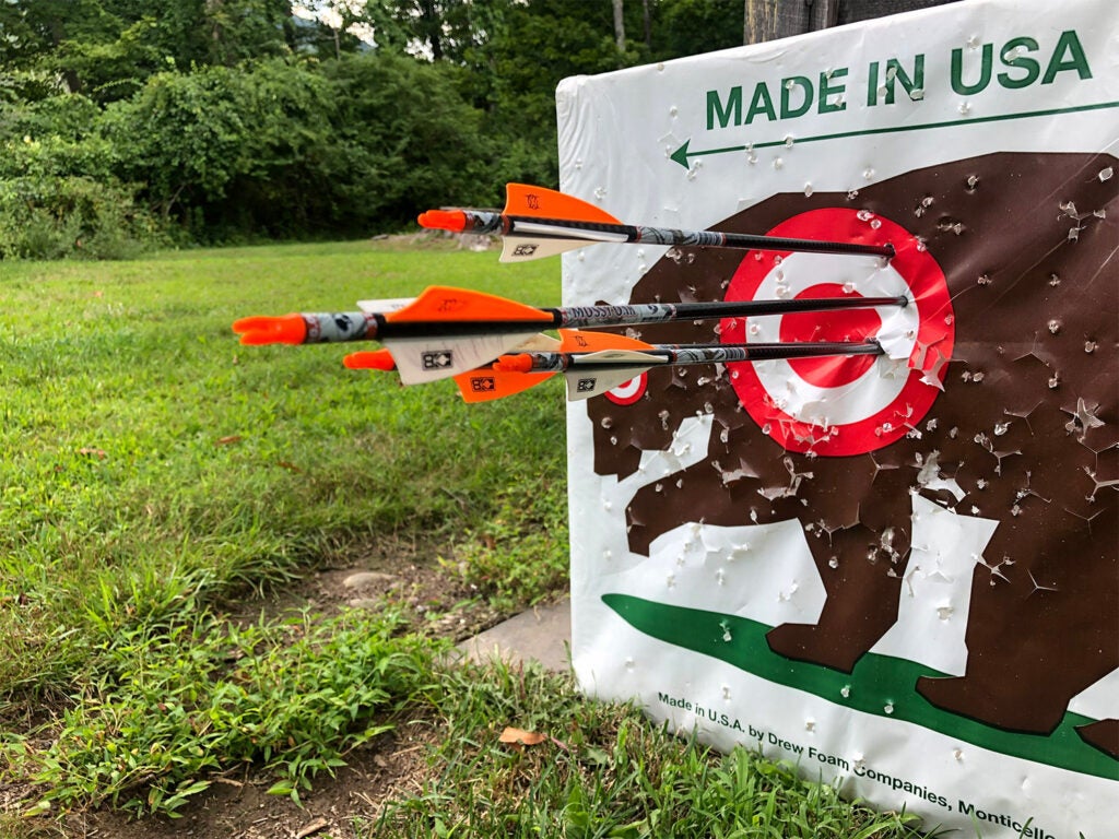 Several arrows in a paper bear target.