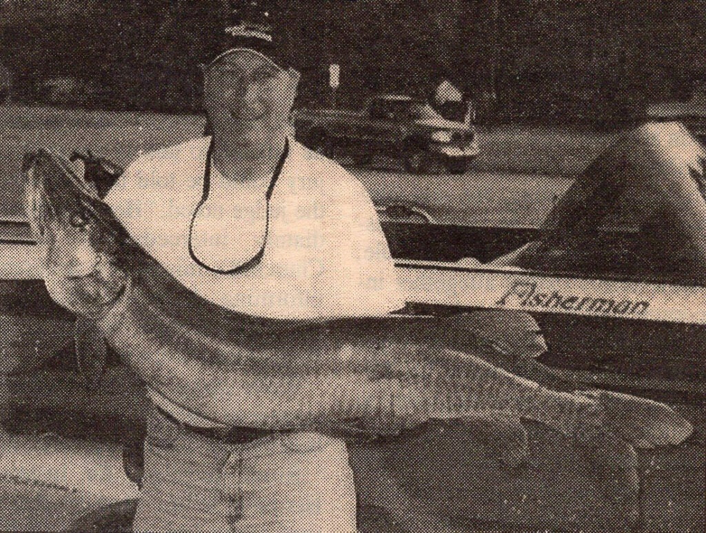 A black and white photo of a man holding up a large muskie fish.