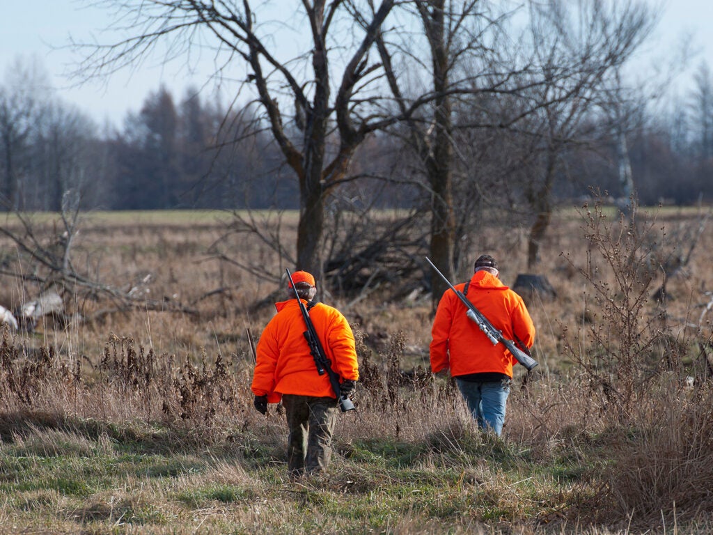 Two hunters in orange walk through a large open field.